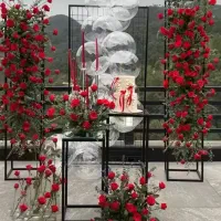 دیزاین سفره عقد، بله برون ،ماشین عروس، تولد|خدمات پذیرایی، مراسم|اصفهان, شفق|دیوار