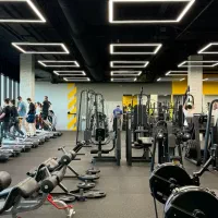 350متر فلت/با زیر ساخت کامل برای باشگاه/قدوسی غربی|اجارهٔ مغازه و غرفه|شیراز, قدوسی غربی|دیوار