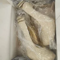 کفش مجلسی
