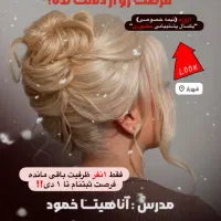 فرصت محدود آموزش شینیون
