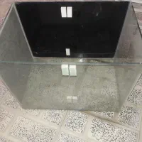 آکواریوم