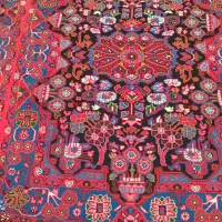 یک جفت زرونیم نو بافت بسیار تمیز