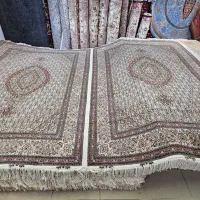 جفت ماهی به هم چسبیده ۶ متری ۴۰