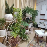 ۱۰۲ متر شهرک شهید بهشتی بارانها