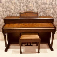 دیجیتال پیانوهای دیجیتال|پیانو، کیبورد، آکاردئون|گناباد, |دیوار