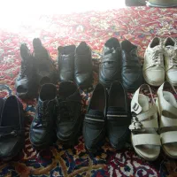 کفش فروشی|کیف، کفش، کمربند|فریمان, |دیوار