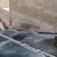 کود حیوانی گوسفندی رایگان|گل و گیاه طبیعی|باسمنج, |دیوار