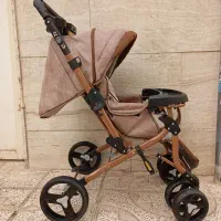 کالسکه دلیجان بنیتا بدنه مسی با تشک مخمل