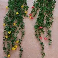 وسایل اشپزخانه|ظروف سرو و پذیرایی|آبدانان, |دیوار