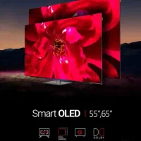 بدون هیچ سود