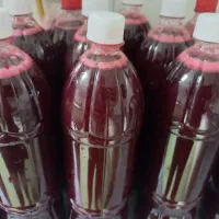 اب زرشک کاملا تازه و. ارگانیک