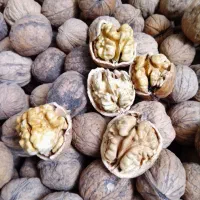 گردو درجه یک