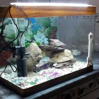 آکواریوم شیشه خم