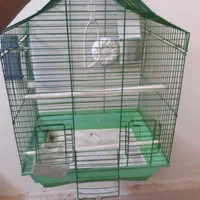قفس پرنده