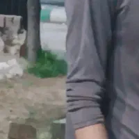 لباس جهت فروش هست و دنبال کارم