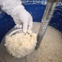 کره مشک روغن زرد کرمانشاهی تخم مرغ ودوغ