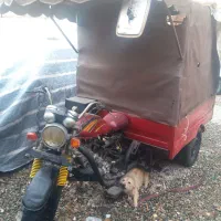 موتور سه چرخ|موتورسیکلت|کرج, گلدشت|دیوار