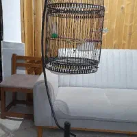 قفس پرنده|لوازم جانبی حیوانات|گنبد کاووس, |دیوار