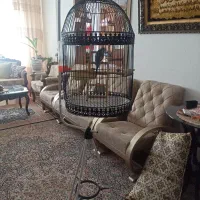 قفس پرنده