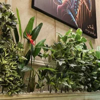 پرنده بهشتی