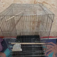 قفس|لوازم جانبی حیوانات|ارومیه, |دیوار