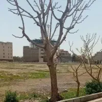 زمین-دوم-شرقی-119-متر-مسکونی-قطعه-21