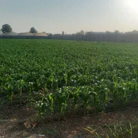 زمین-5000متری