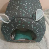 جای خواب سگ و گربه