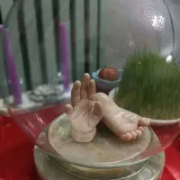 ماکت دست و پا