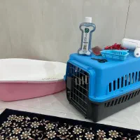وسایل نگهداری گربه