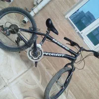 دوچرخه مدل 20