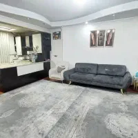 نقلی ، فول امکانات / پیش پرداخت 1،800