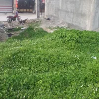 فروش زمین مسکونی-تجاری