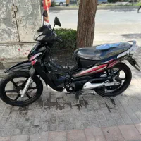 بیکلاج پرواز۹۴  تک برگ