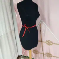 یک عدد مانکن زنانه