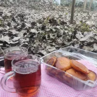 مایه نیمه آماده کاکای کدو|خوردنی و آشامیدنی|رشت, رودباری|دیوار