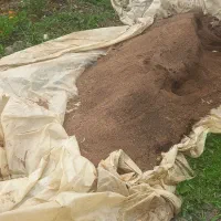 کود حیوانی. چرم الک شده