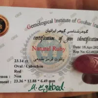 جواهرات شناسنامه دار کهربای حشره دار یاقوت|جواهرات|تفرش, |دیوار