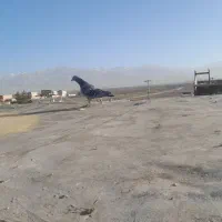 کبوتر|پرنده|نیشابور, فضل|دیوار