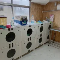 نیروی کار در پانسیون