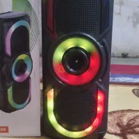 اسپیکر اصلی‌ میکرفون دار