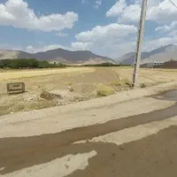 جو محلی درجه یک و تمیز