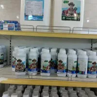 نمایندگی محرک رشد ۲۰ لیتری خوزستان مخصوص کشاورزی