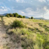 زمین سربیژن