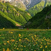 فروش زمین