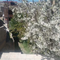 خونه باغ|فروش خانه و ویلا|سبزوار, کراب|دیوار