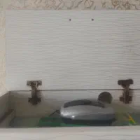 اکواریوم شیشه خم شرکتی