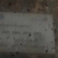 گمشده وپیداشده