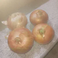 ۲۰گونی پیاز زردو۲۵ گونی پیاز قرمز برای ترشی|عمده‌فروشی|میاندوآب, |دیوار