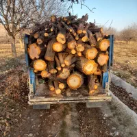 خریدار چوب شما با قیمت روز